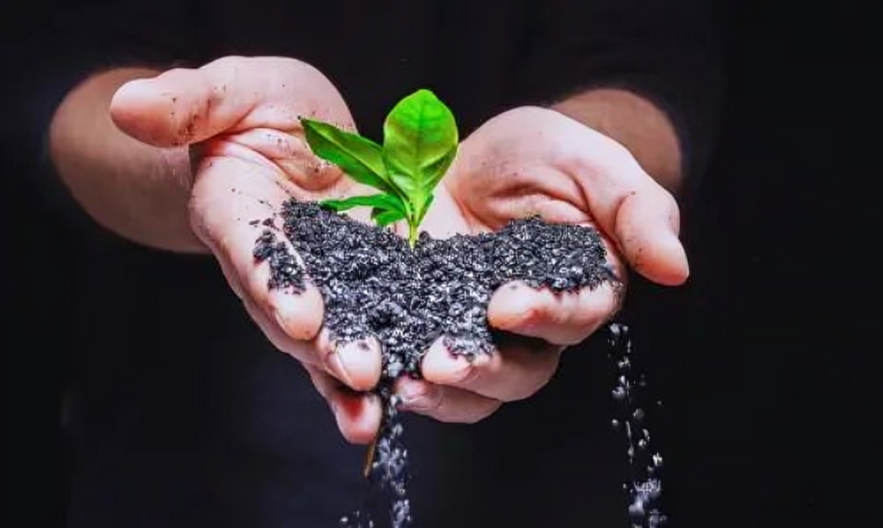 Biochar