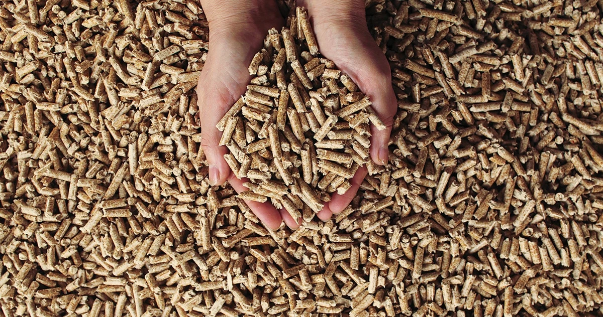Pellets biomasse